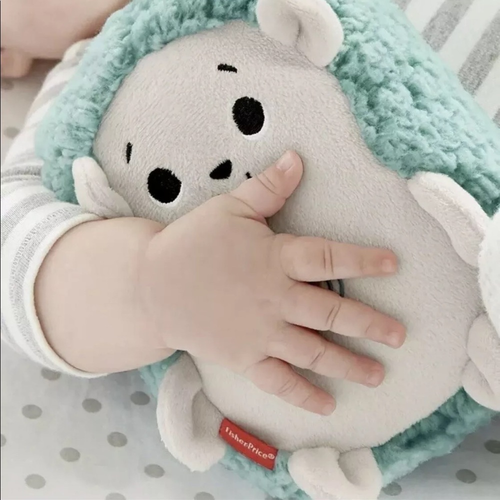 COPY - New Fisher Price Hedgehog Soother for infants